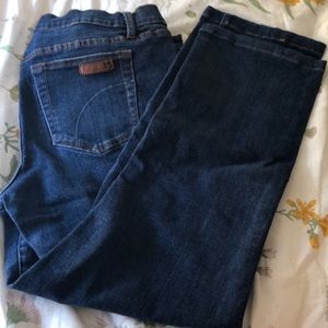 Classic Joe’s jeans